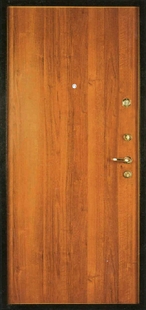 Железные двери с порошковым напылением ДП-5