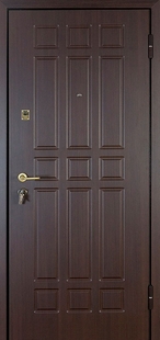 Металлические двери МДФ МД-21